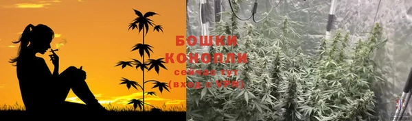 ECSTASY Ладушкин