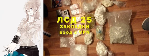 индика Лагань