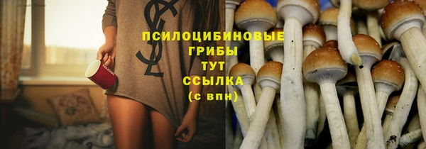ECSTASY Ладушкин