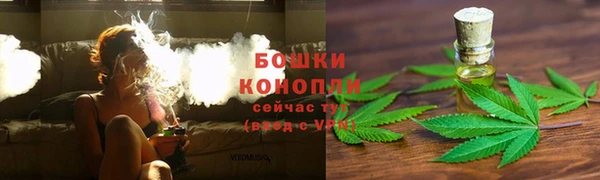 ECSTASY Ладушкин