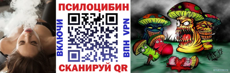 МЕГА ONION  наркошоп  Чистополь  Галлюциногенные грибы мицелий 