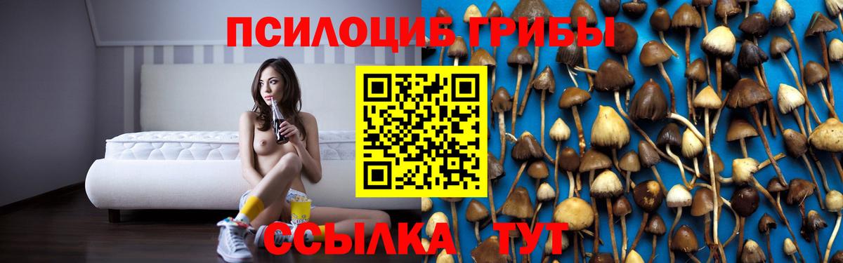 Галлюциногенные грибы мухоморы  Псилоцибиновые грибы Cubensis  купить закладку  Вход с VPN  Чистополь 