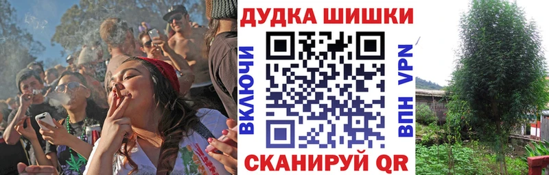 Марихуана OG Kush Чистополь